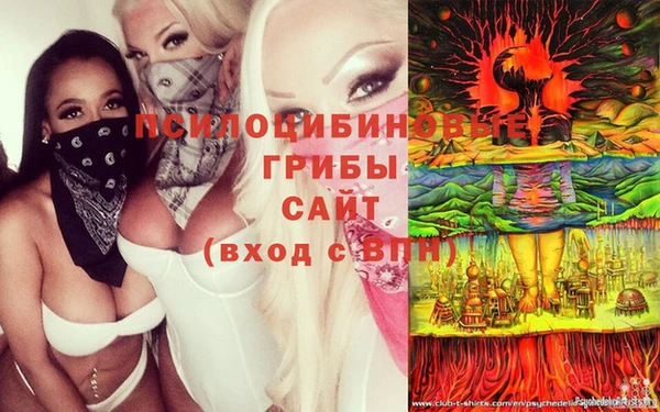 apvp Абдулино