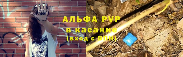 стафф Протвино
