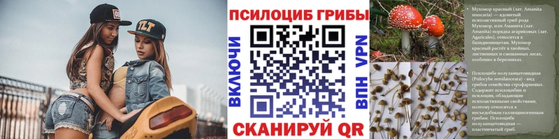 Псилоцибиновые грибы Magic Shrooms  что такое наркотик  Духовщина 